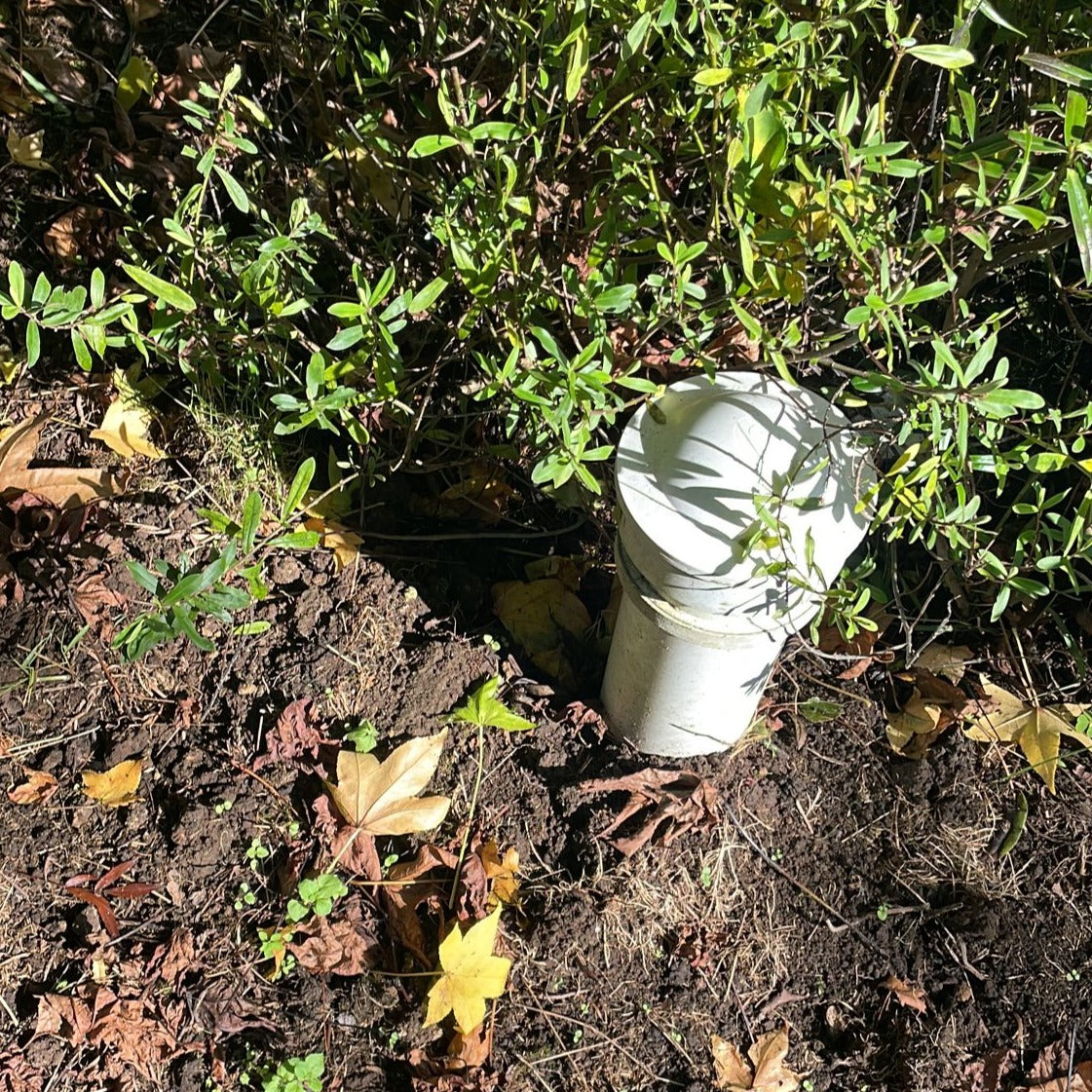 Septic Tank Mushroom Air Vent